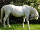 44-434-slunicko